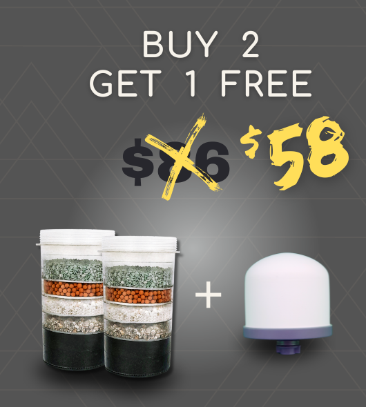 Buy 2 Get 1 FREE