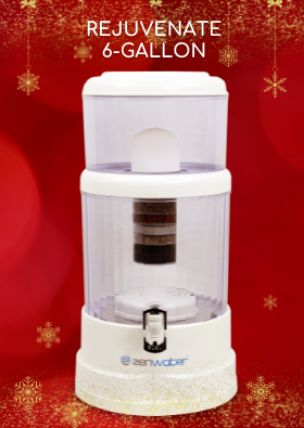 Rejuvenate - 6 Gallon