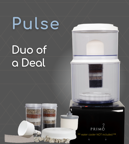 Pulse Duo of a Deal - Zave over $80!